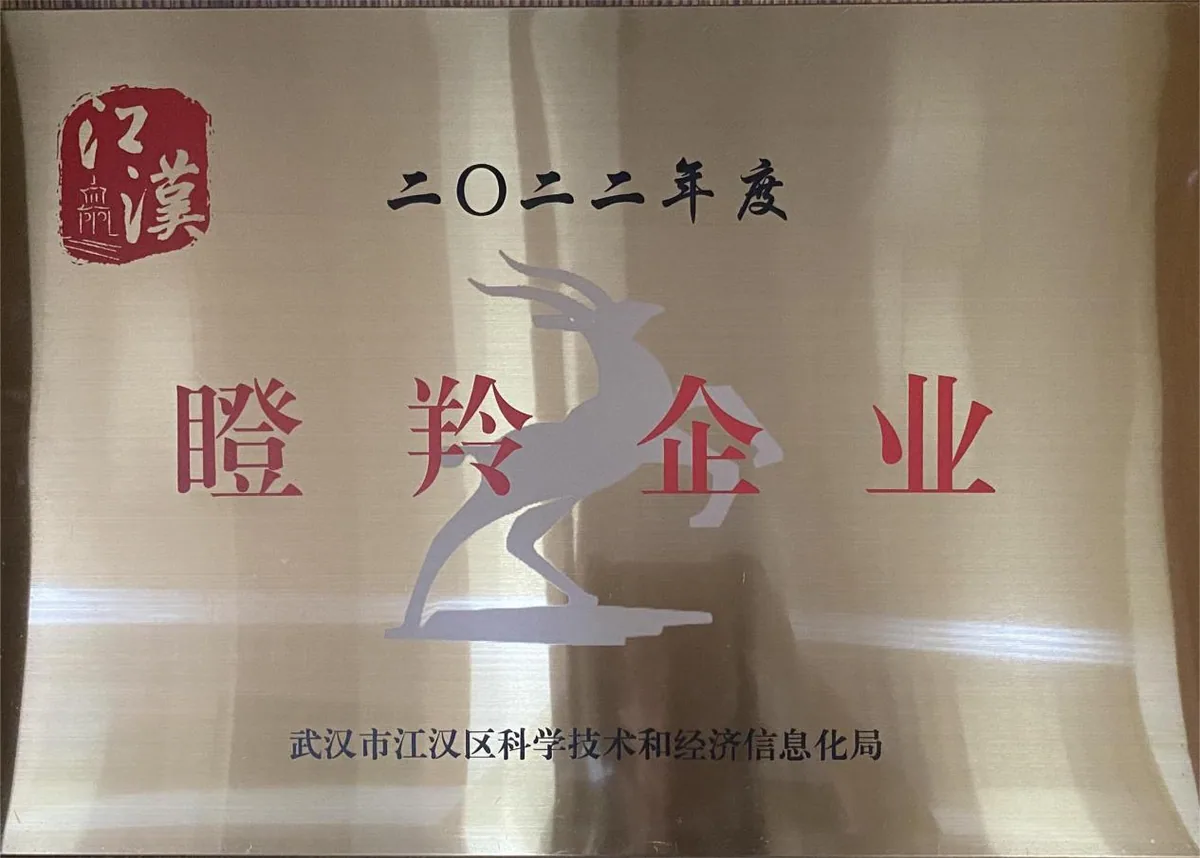 武汉市江汉区2022年度瞪羚企业