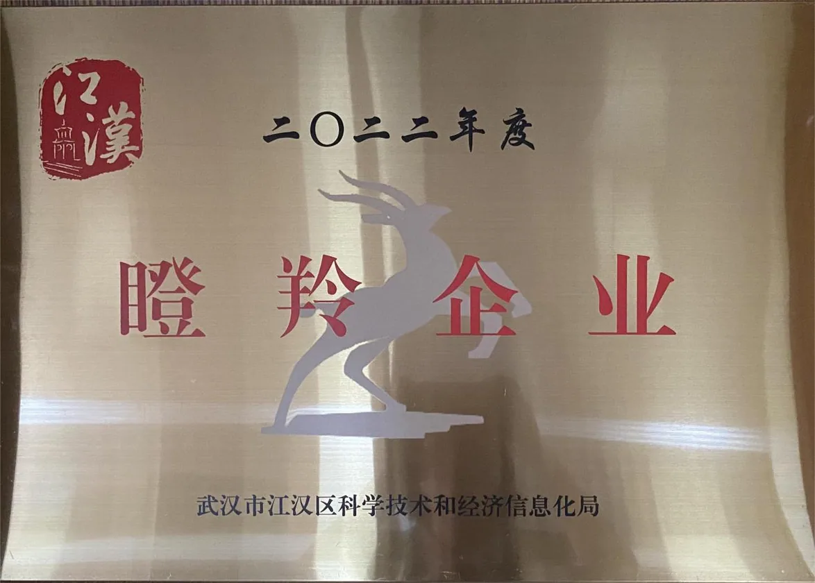 武汉市江汉区2022年度瞪羚企业